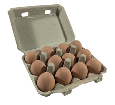 Egg carton